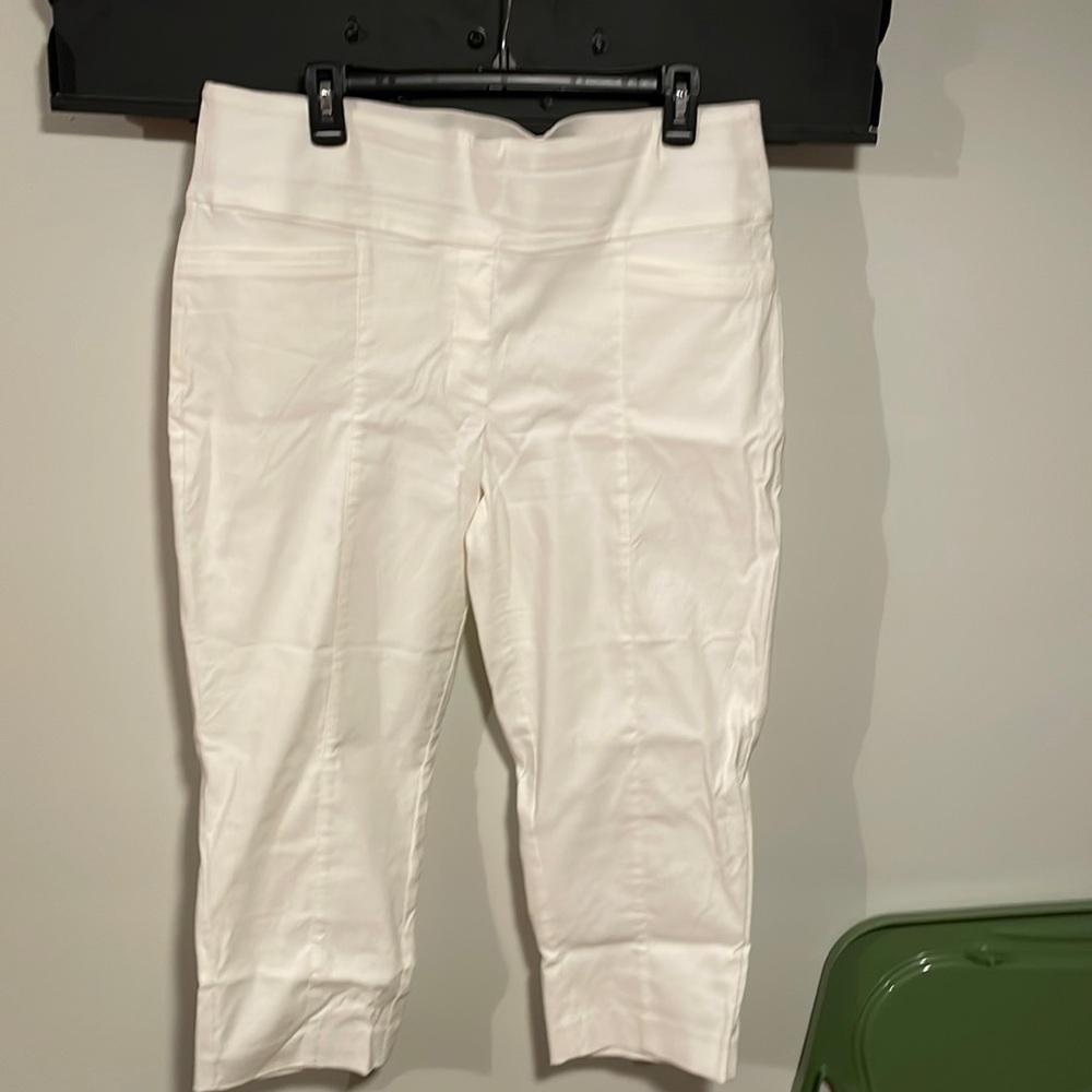 NWOT Apt 9 - Brynn Pull-on Dressy Capri Pant -16